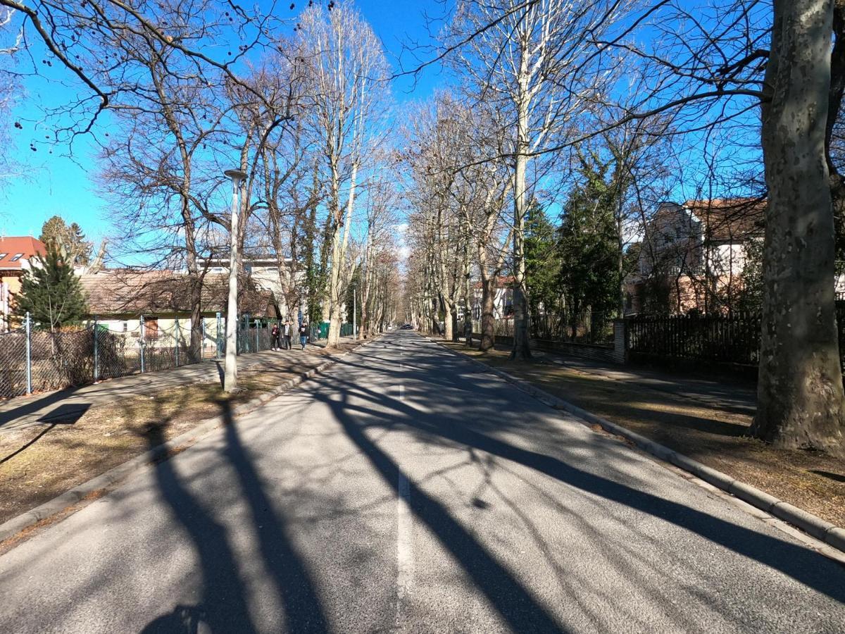 Gosztonyi Villa Siofok Dış mekan fotoğraf
